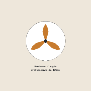 Meuleuse d'angle professionnelle 125mm